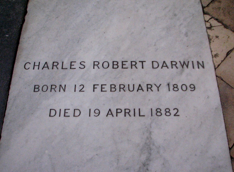 darwin's tomb